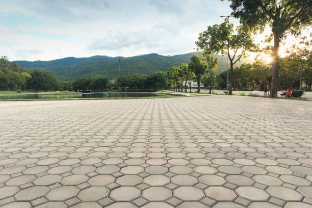 Best Driveway Pavers Near Me  in Fort Sumner, NM